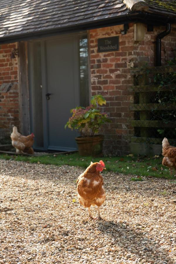 Street Farmhouse Godshill  Luaran gambar